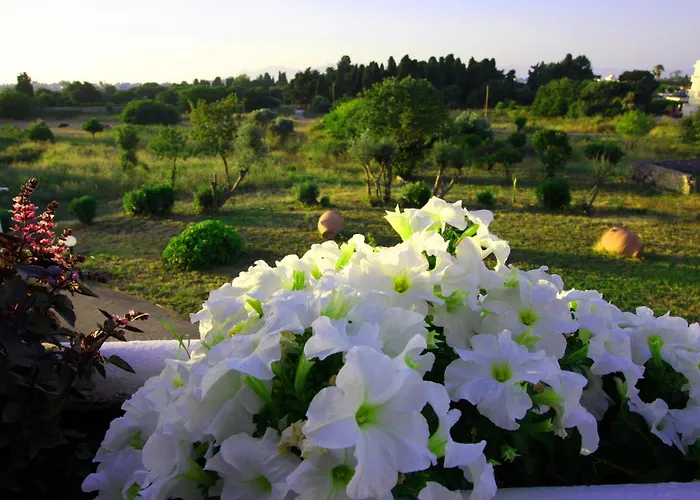 Eftihia העיירה קוס