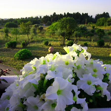 Eftihia Città di Kos